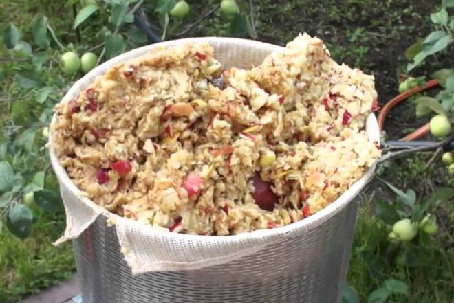 Вино на мезге: як приготувати ароматний напій з яблучного жмиху та вичавок винограду в домашніх умовах, правила вживання